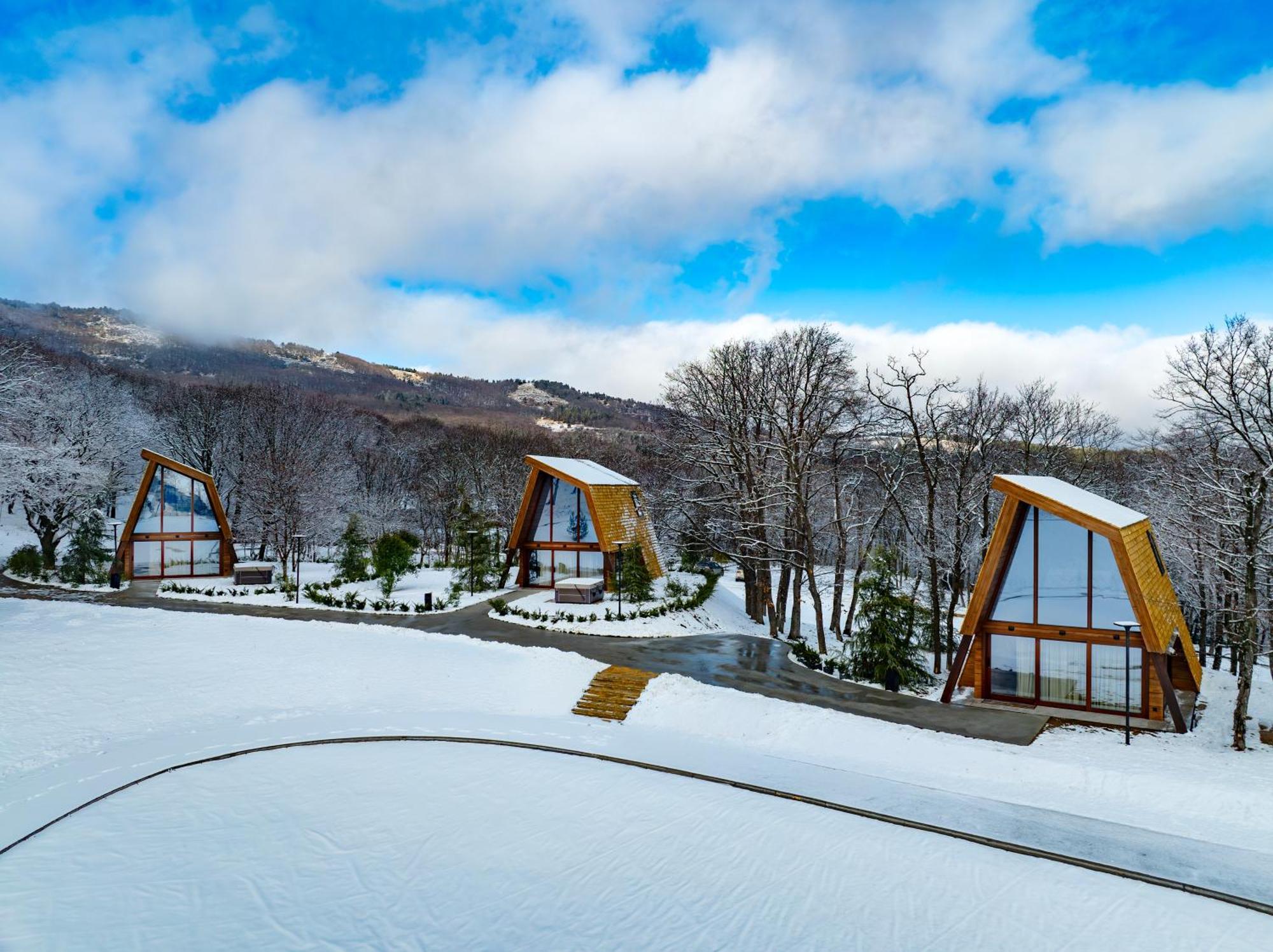 Bioli Wellness Resort Kojori Phòng bức ảnh